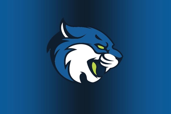 -------- Bryant & Stratton College unveils new Bobcats Athletics Logo --------