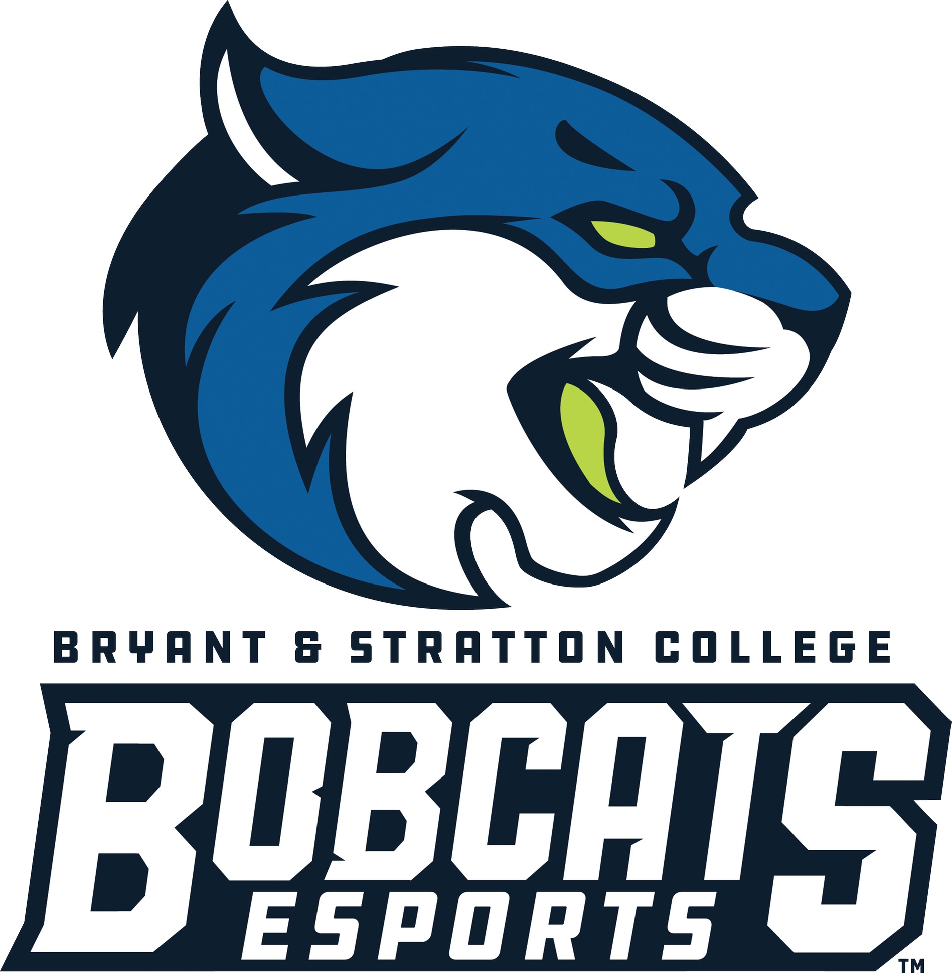 BSC Wisconsin Esports Team wins a National Championship